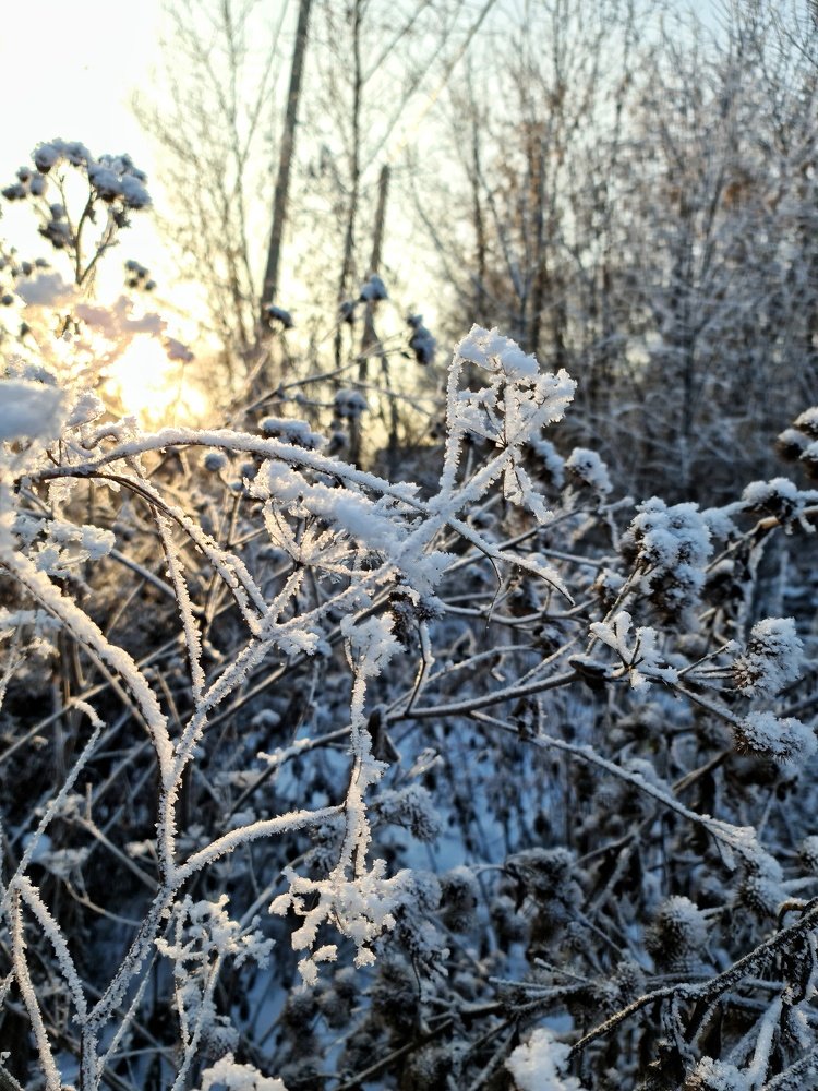 Photograph by Светлана Смирнова