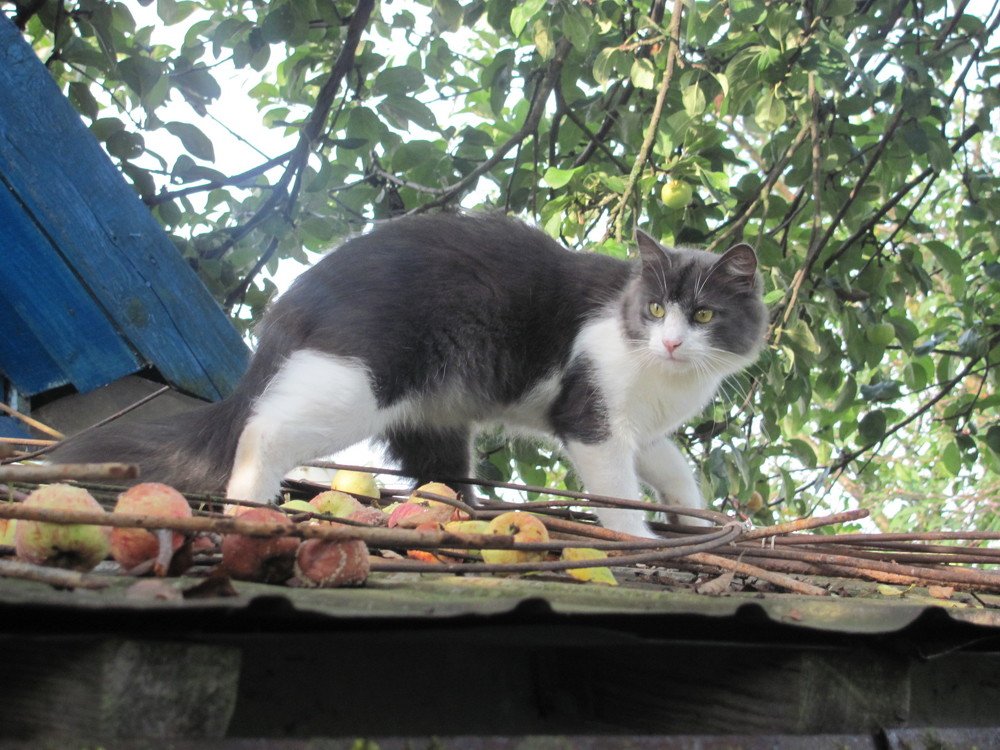 Photograph by Юлия