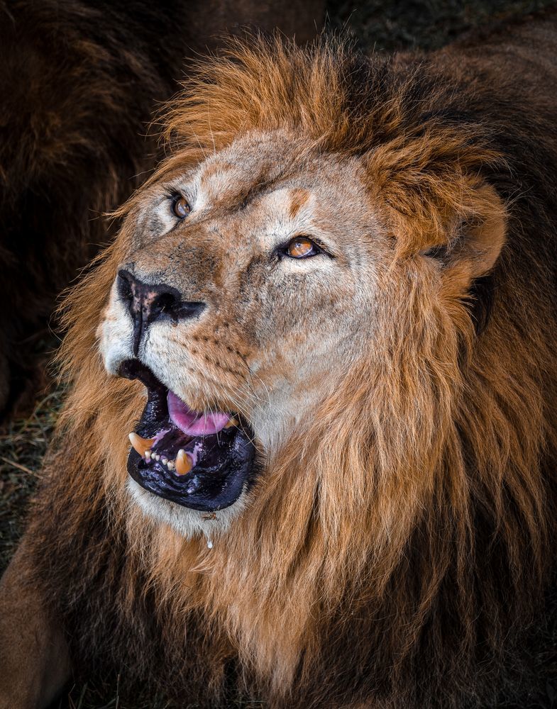 Photograph by Дмитрий Синичев