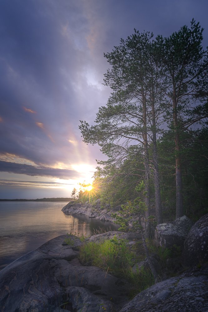 Фотография автора Светлана Морозова