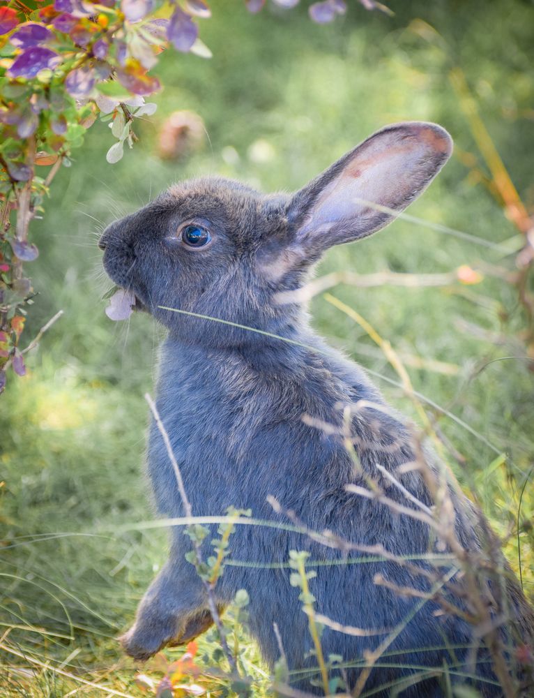 Photograph by Дмитрий Синичев