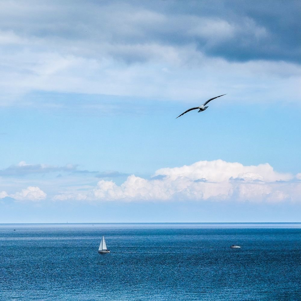 Photograph by Дмитрий Синичев