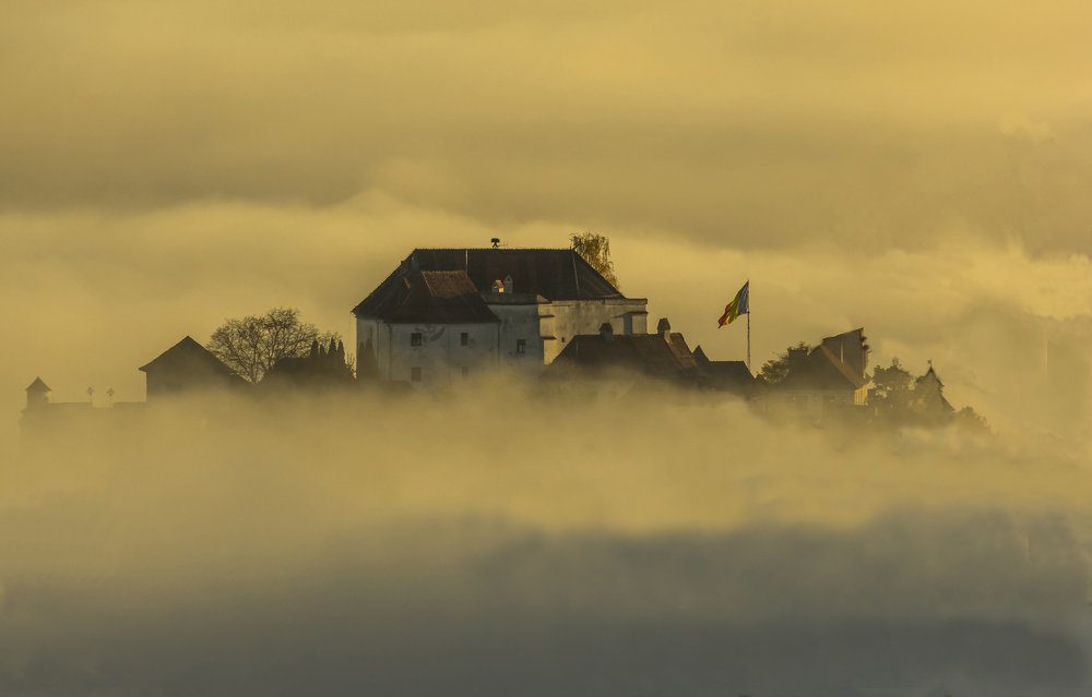 Фотография автора Comșa Bogdan