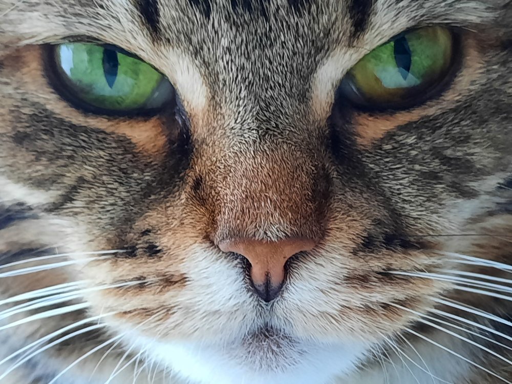 Photograph by Светлана Лебедева