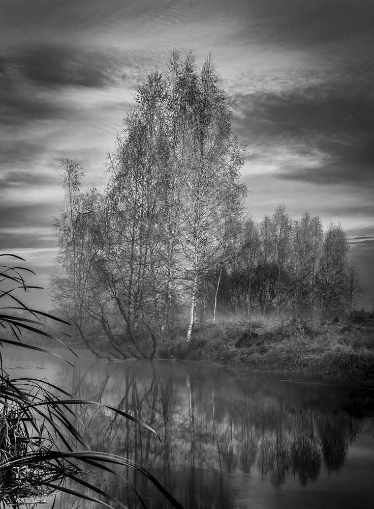 Photograph by Константин Гончаров