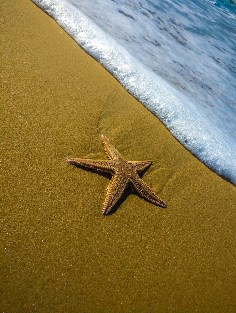 Photograph by Mário C.