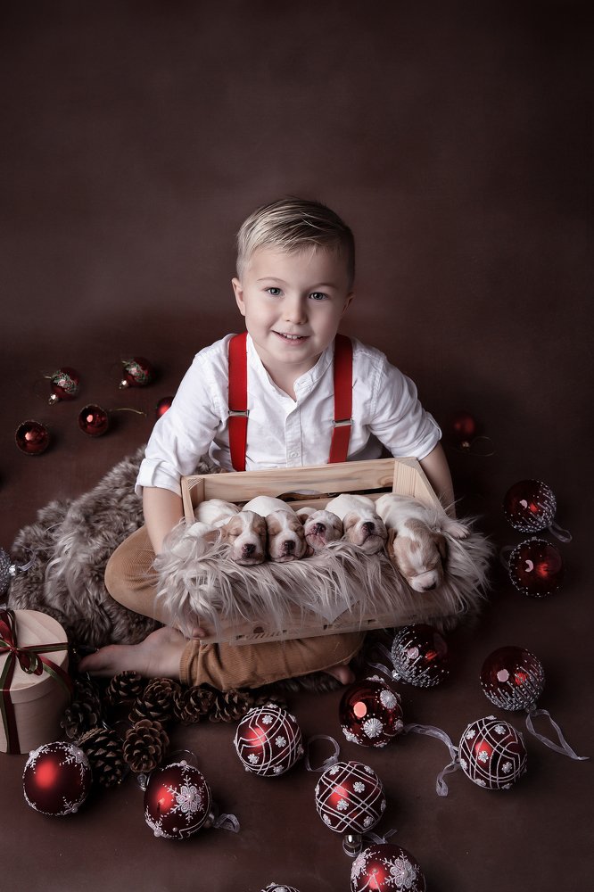 Photograph by Tetyana Vysochanska