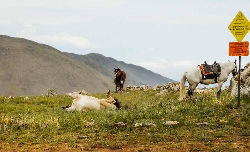 Photograph by Виктор Сёмушкин