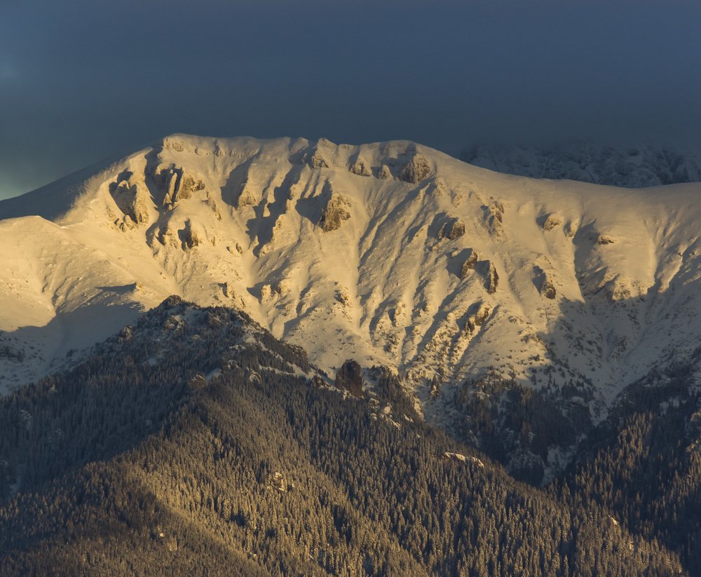 Фотография автора Comșa Bogdan