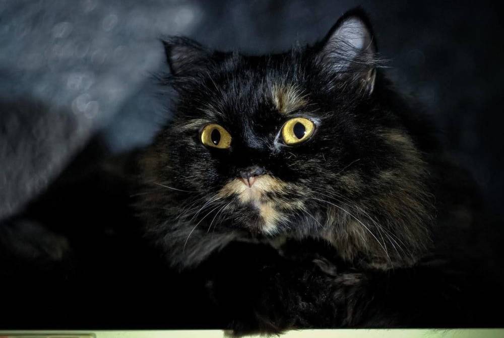 Photograph by Светлана Лехмус