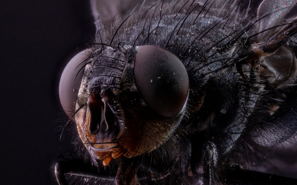 Photograph by Александр Шлюпиков