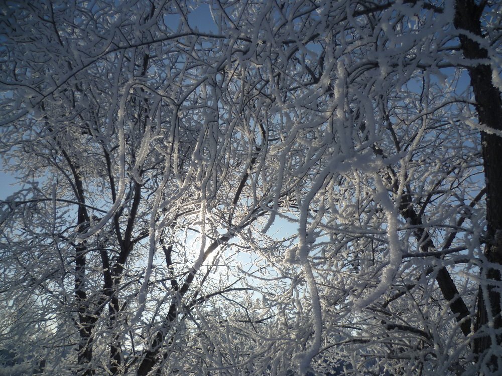 Photograph by Людмила Фризен