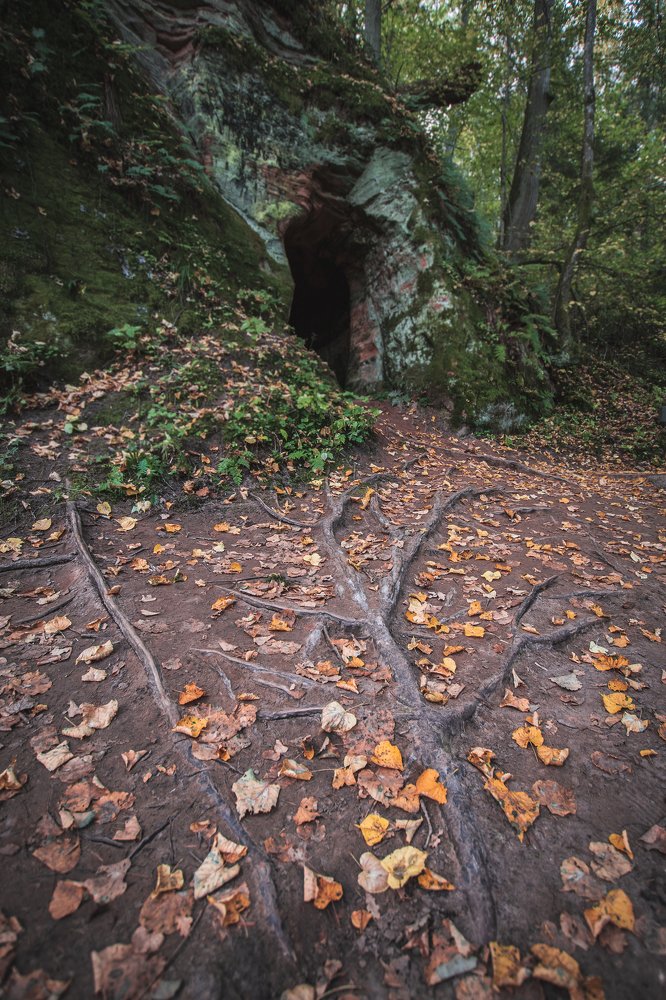 Photograph by Дмитрий Рябцев