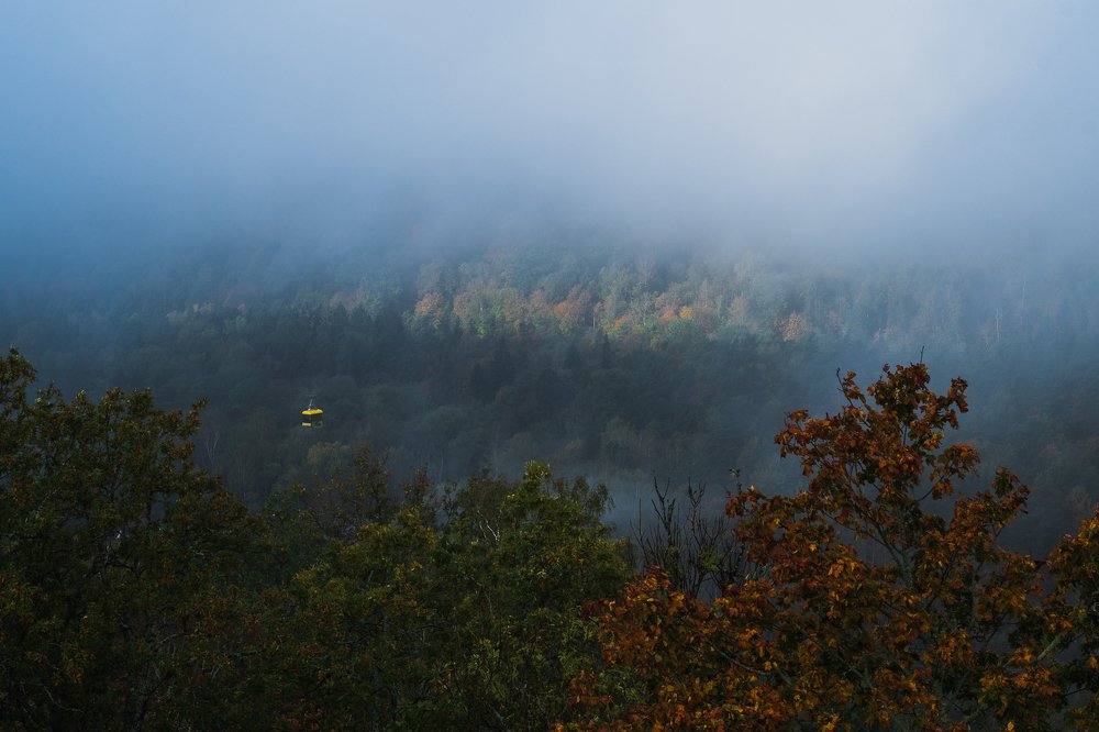 Photograph by Дмитрий Рябцев