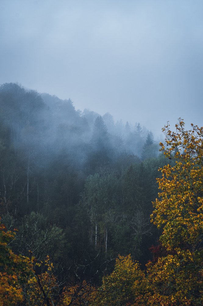 Photograph by Дмитрий Рябцев