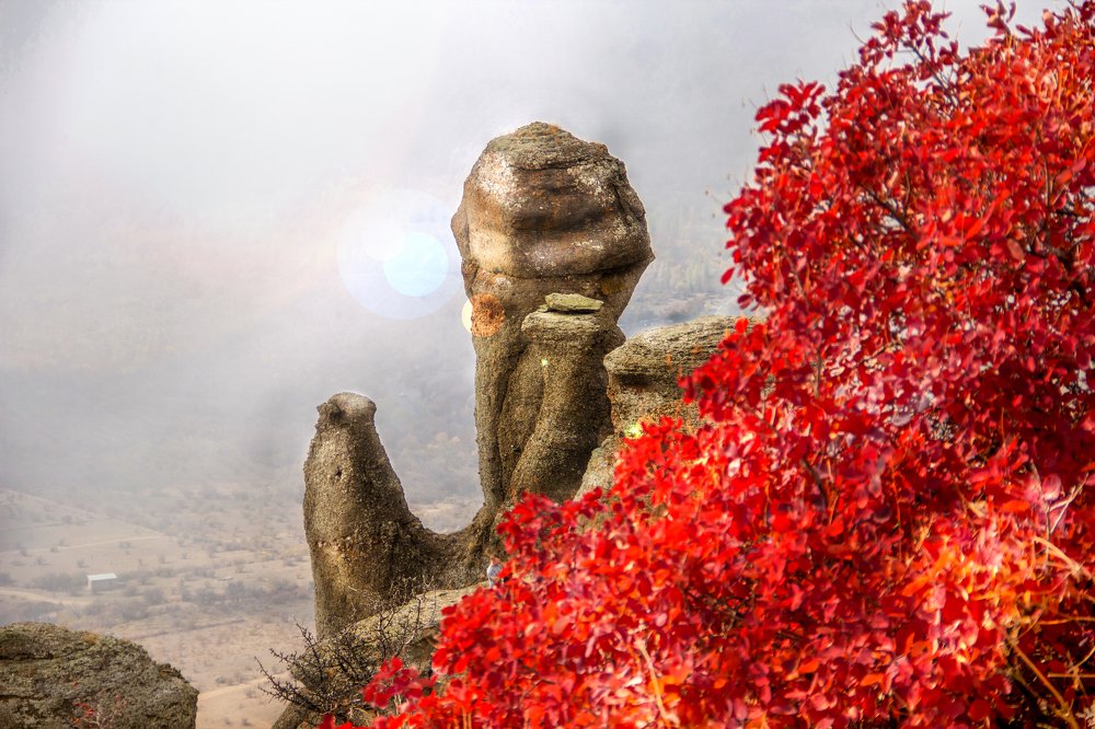 Photograph by Ксения Попова