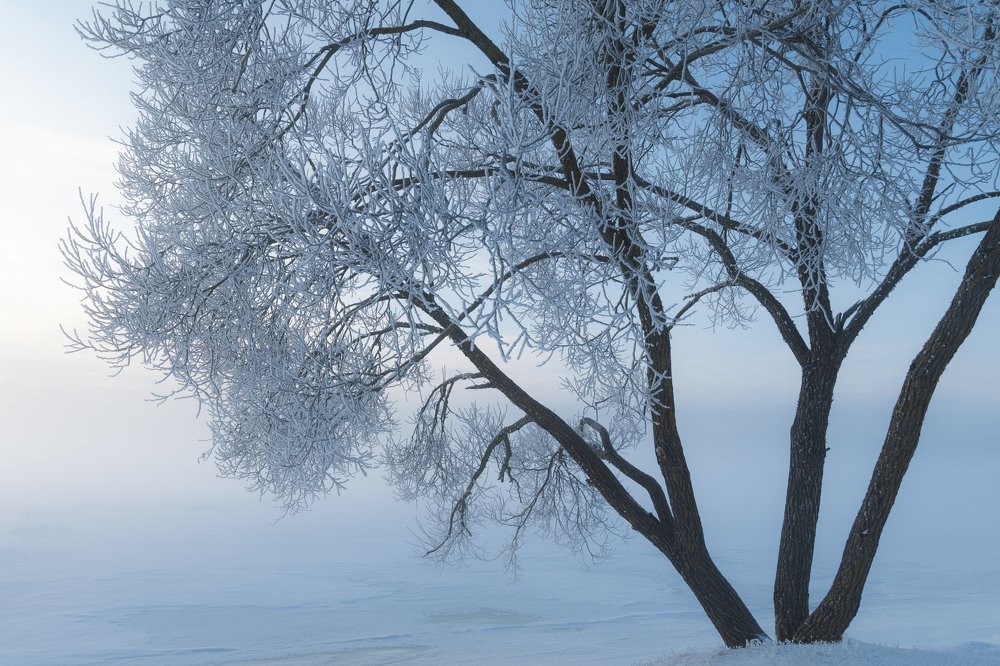 Photograph by Дмитрий Рябцев