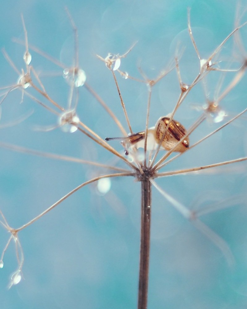 Photograph by Natalija Krucina