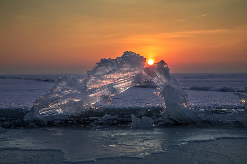 Photograph by 