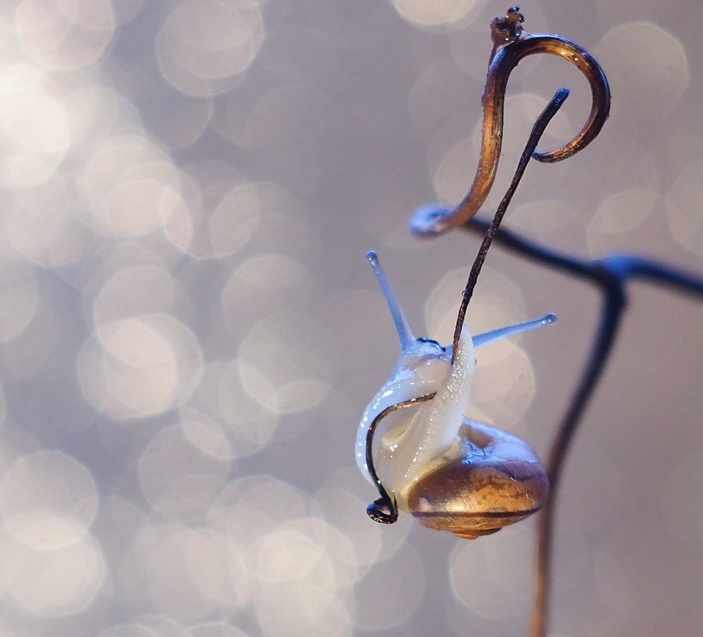 Photograph by Natalija Krucina