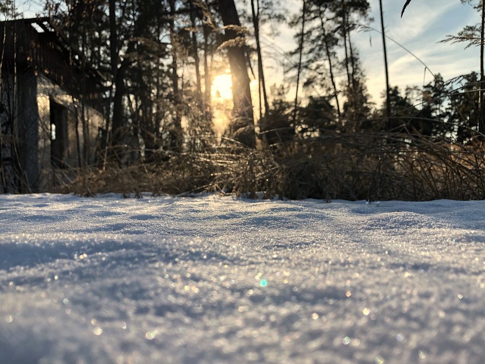 Photograph by людмила жукова
