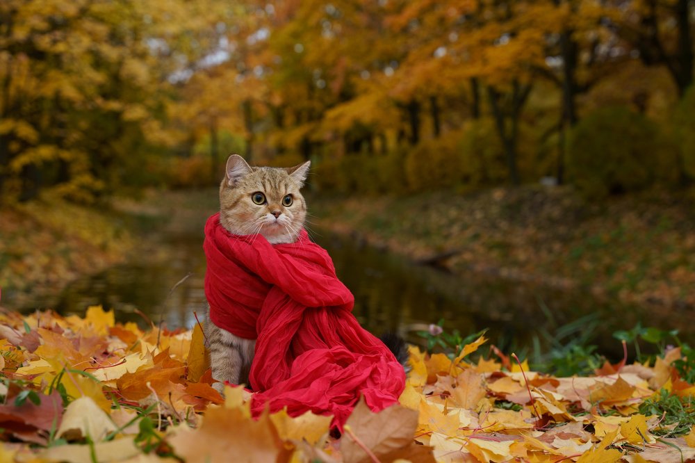 Photograph by Elena Guseva