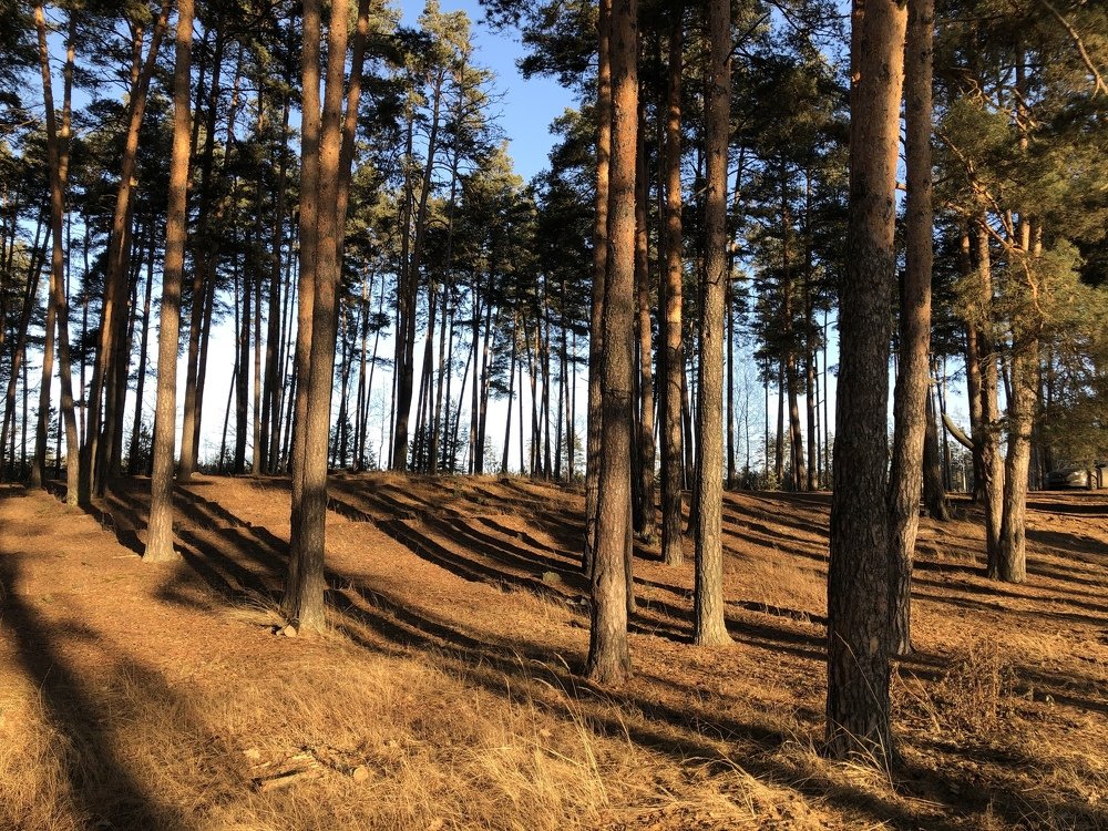 Photograph by людмила жукова