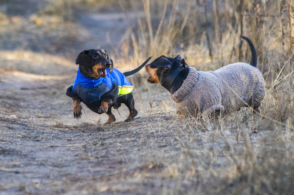 Photograph by Дмитрий Тимин