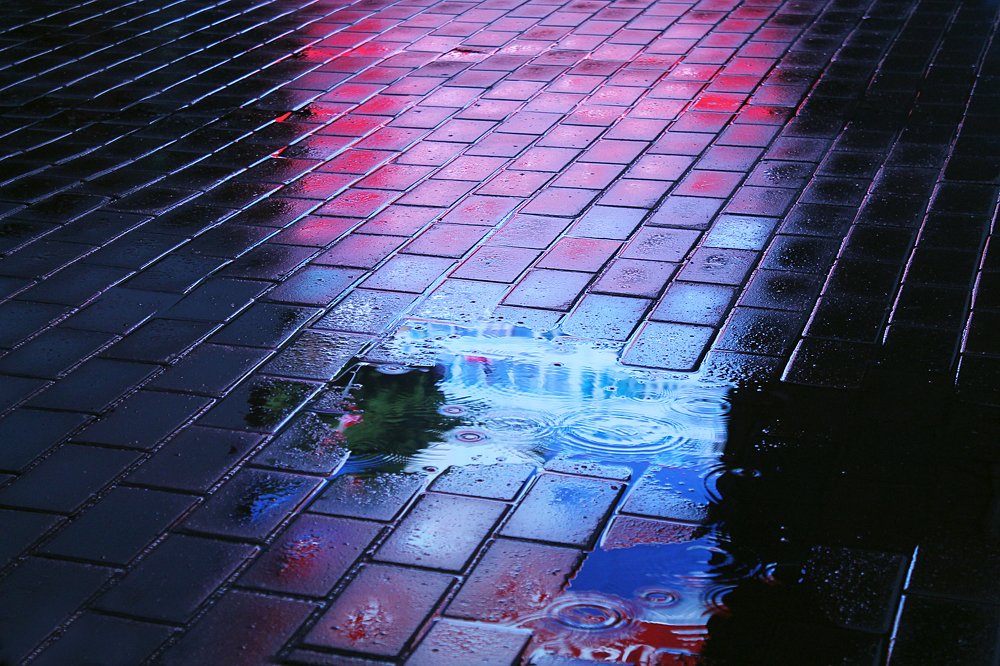 Photograph by Елена Кудейкина