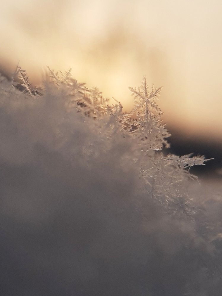 Photograph by Юлия Серазетдинова