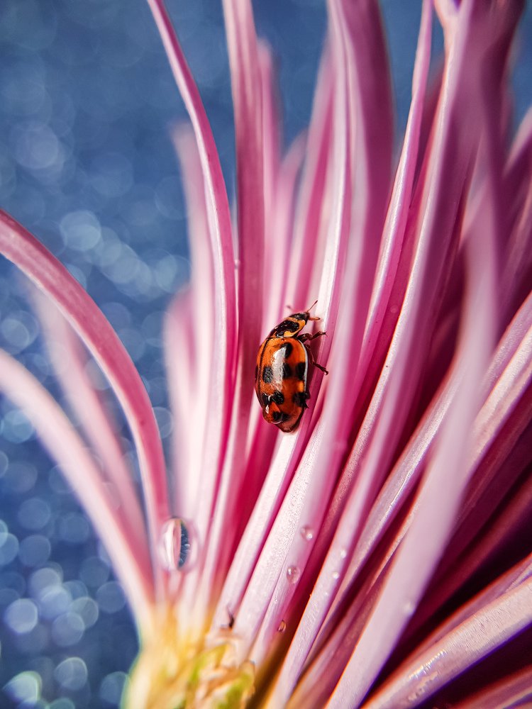 После дождя