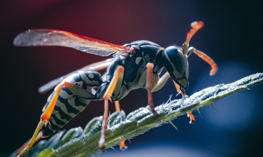 Photograph by Юлия Шматова