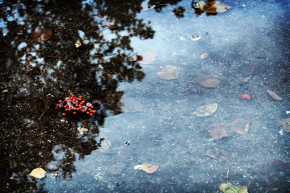 Photograph by Елена Кудейкина