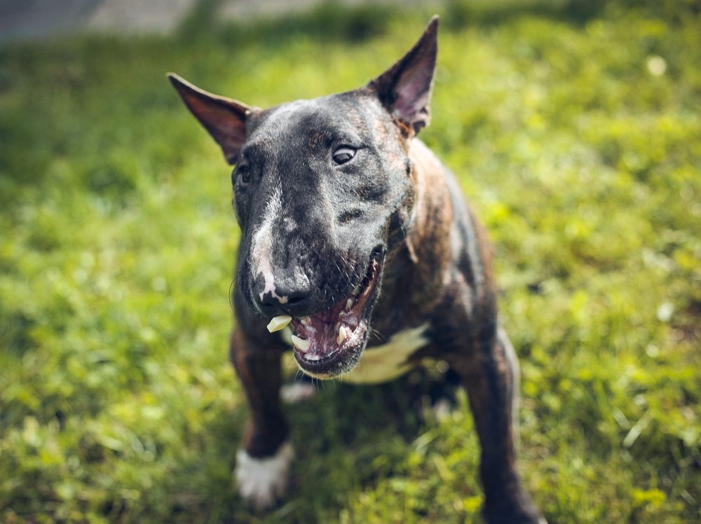 Photograph by Юлия Шматова