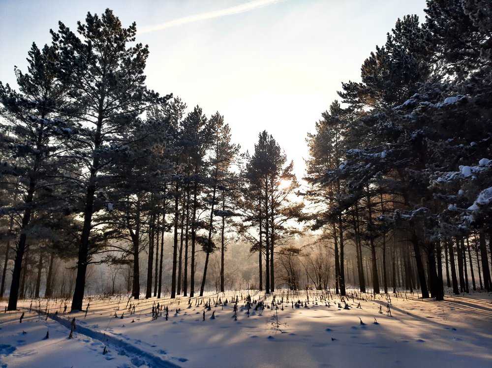 Photograph by Юлия Серазетдинова