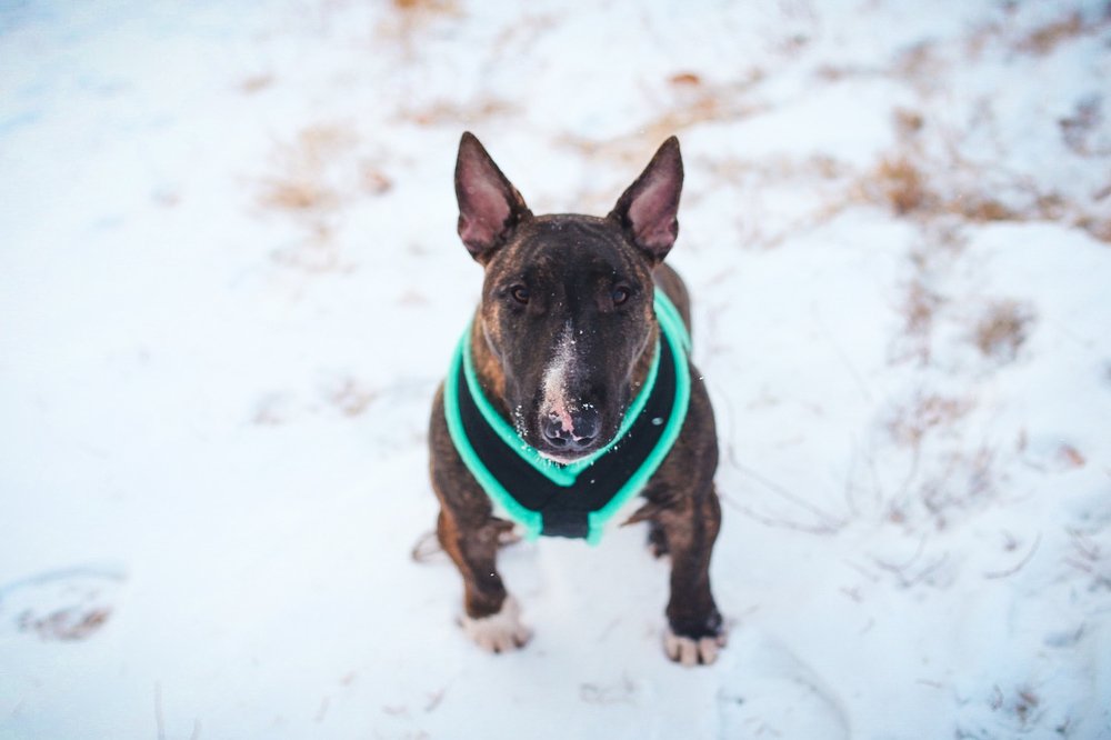 Photograph by Юлия Шматова