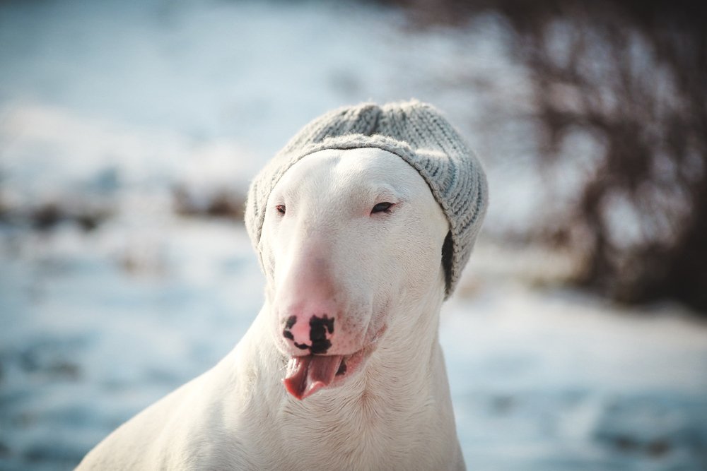 Photograph by Юлия Шматова