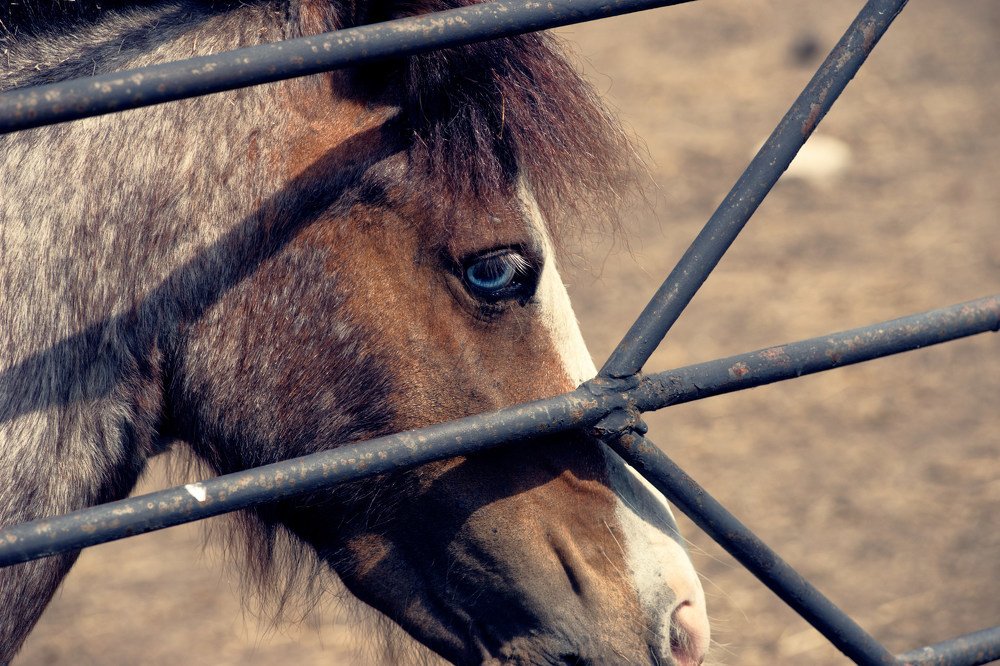 Photograph by Сергей Стукен