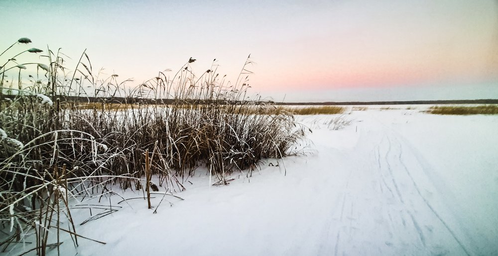 Photograph by Юлия Шматова