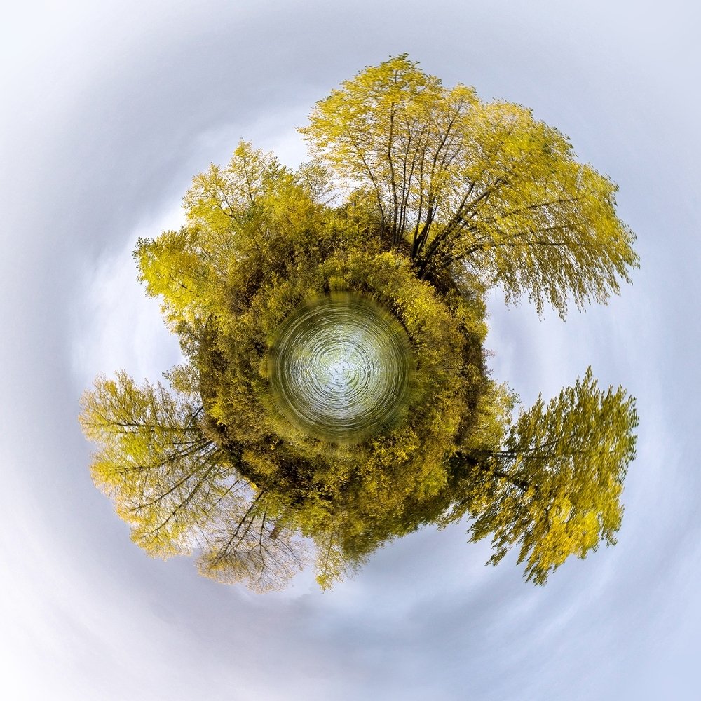 Photograph by Курочкина Диана