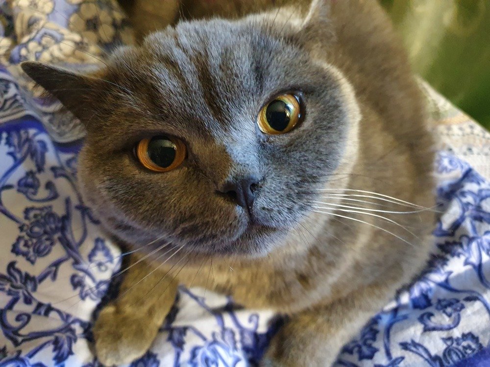 Ну.... слушаю