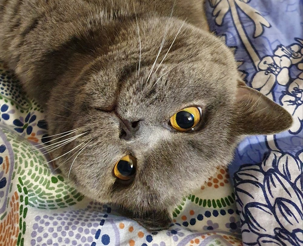 Глаза в глаза