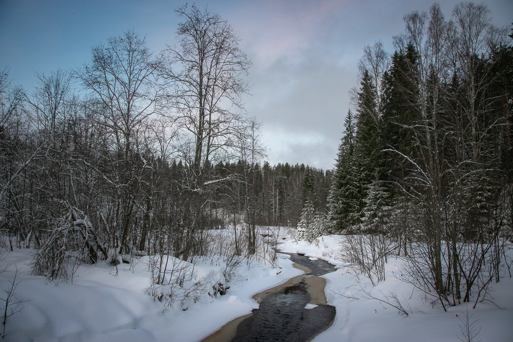 Photograph by Алекс Римский