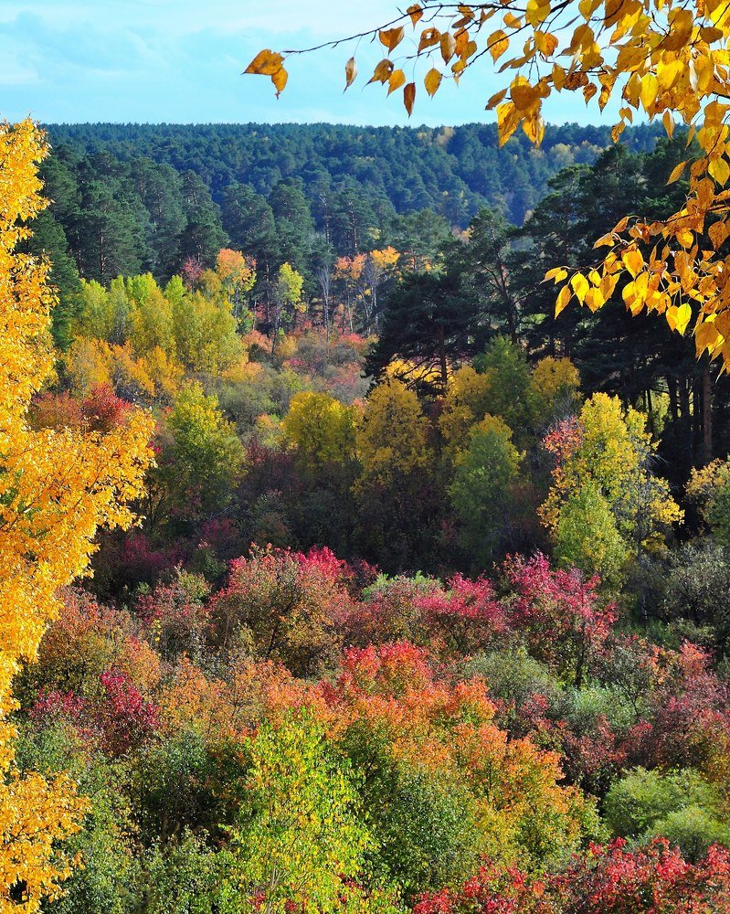 Художник Осень