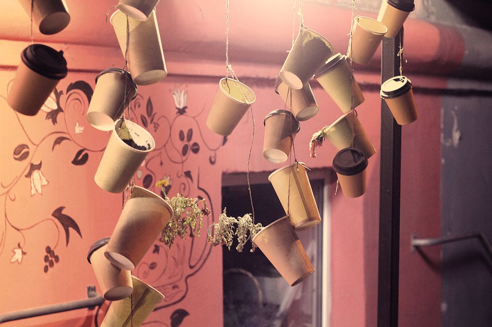 Photograph by Елена Кудейкина