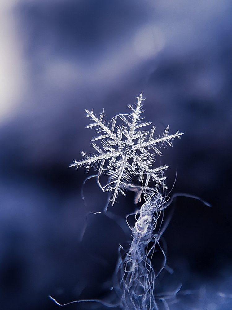 Photograph by Наталья