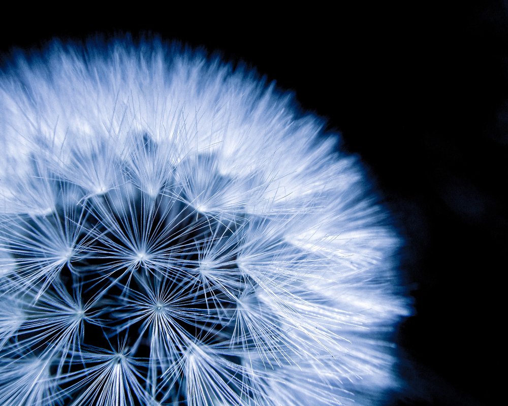 Фотография автора Дмитрий Деревянко