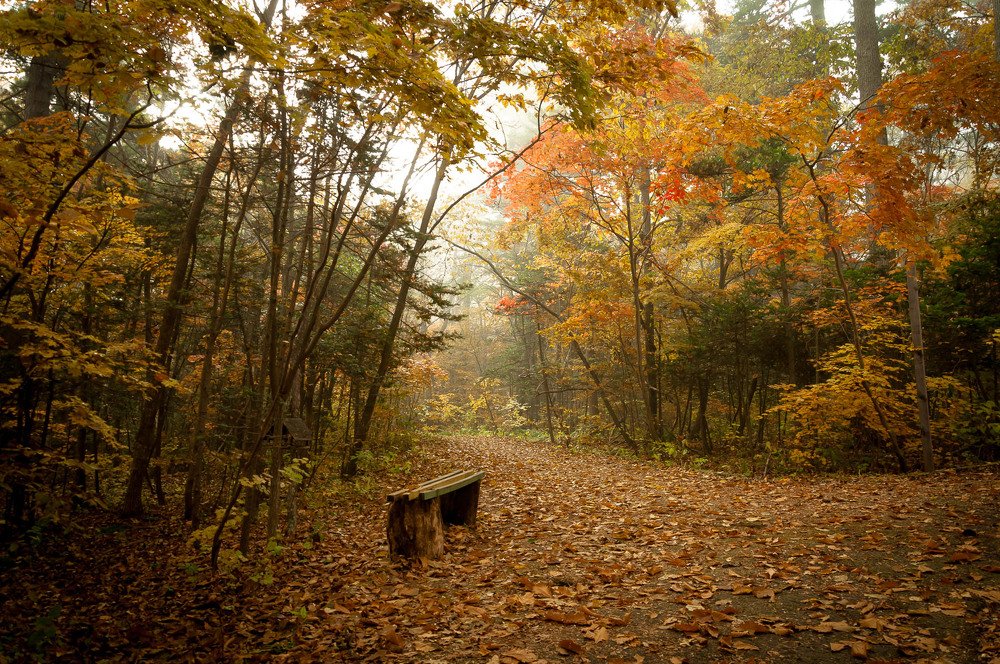 Photograph by Лариса Крышталь