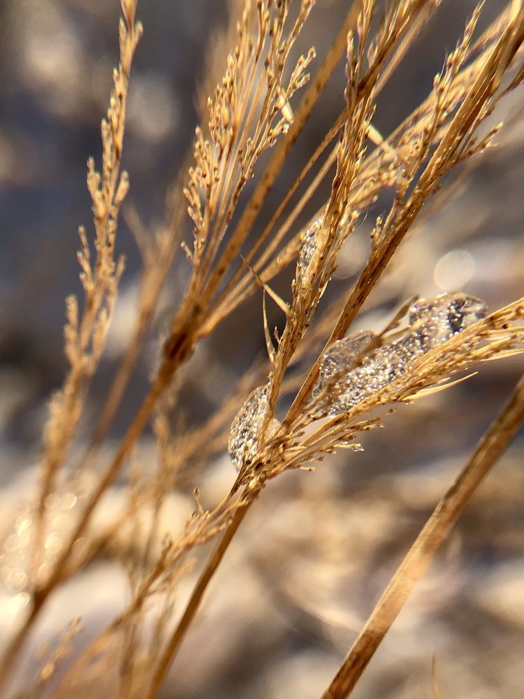 Photograph by Елена Киркицкая