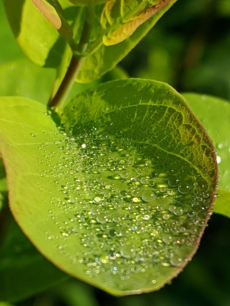 Photograph by Кирилл Ананьев